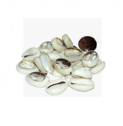 import placeholder for 8697