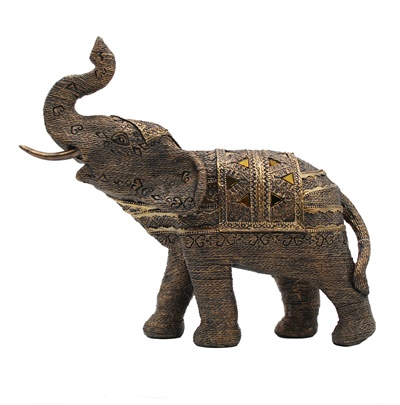 import placeholder for 11779